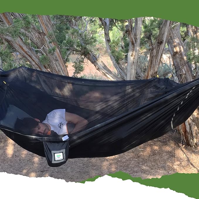 Sky Bed Bug Free