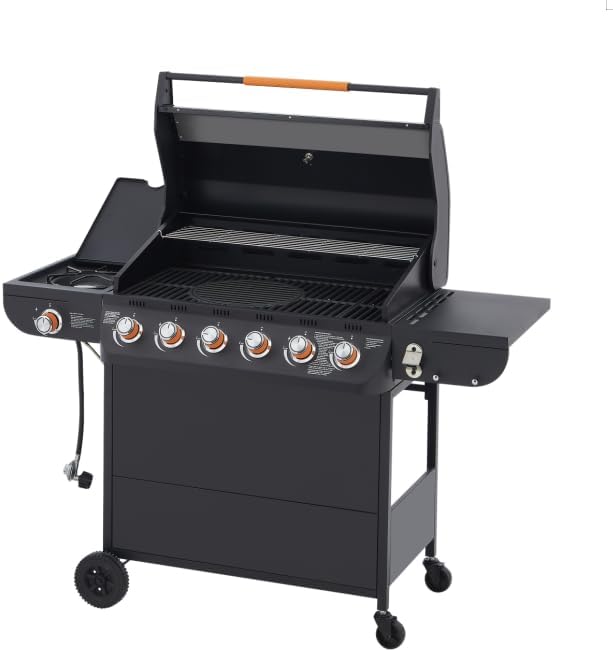 6 Burner