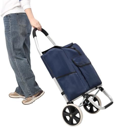 Blue 6 Wheel