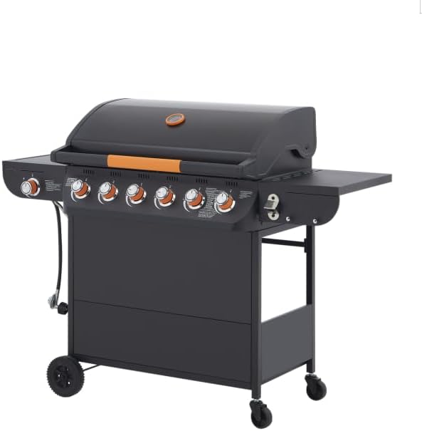 6 Burner