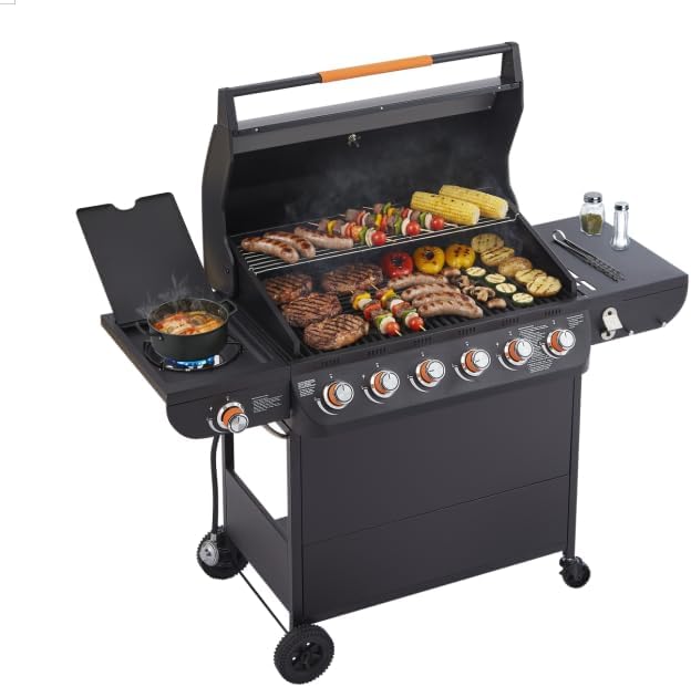 6 Burner