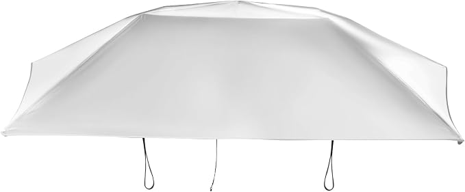 Silver Gray