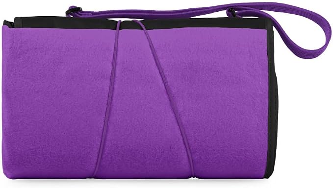 Purple With Black Flap