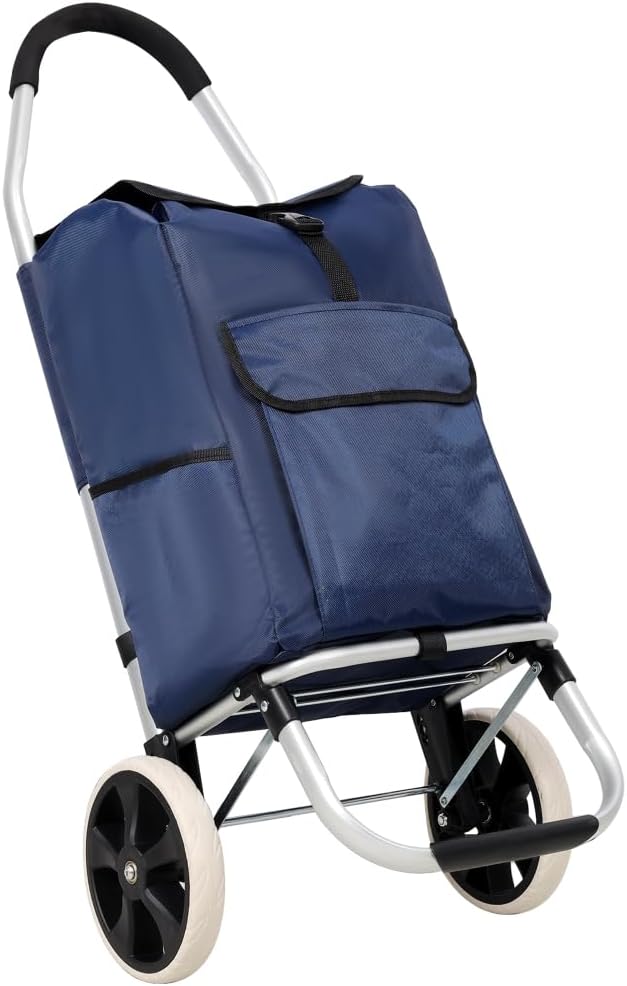 Blue 2 Wheel