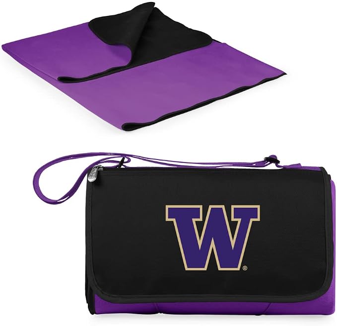 Purple With Black Flap