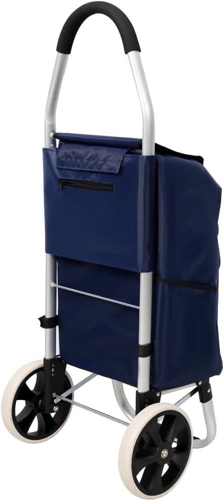Blue 2 Wheel