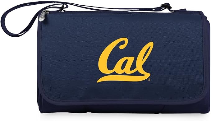 Navy Blue with Black Flap