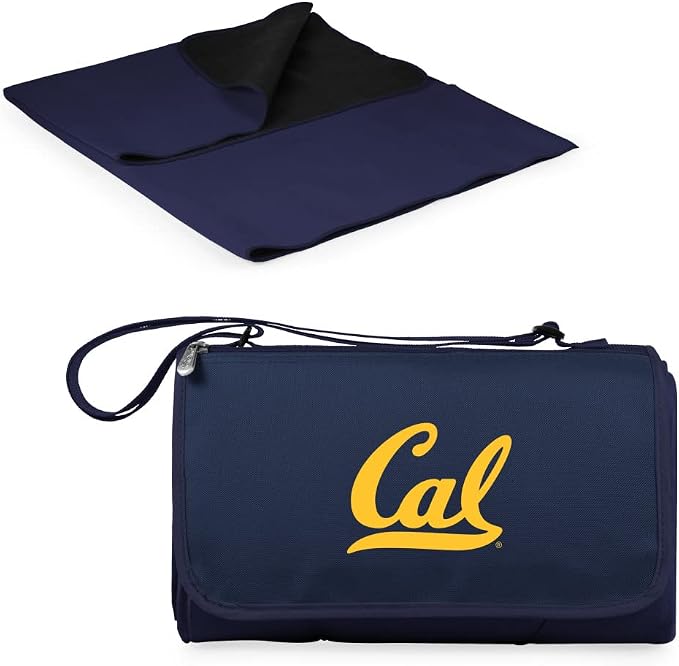 Navy Blue with Black Flap