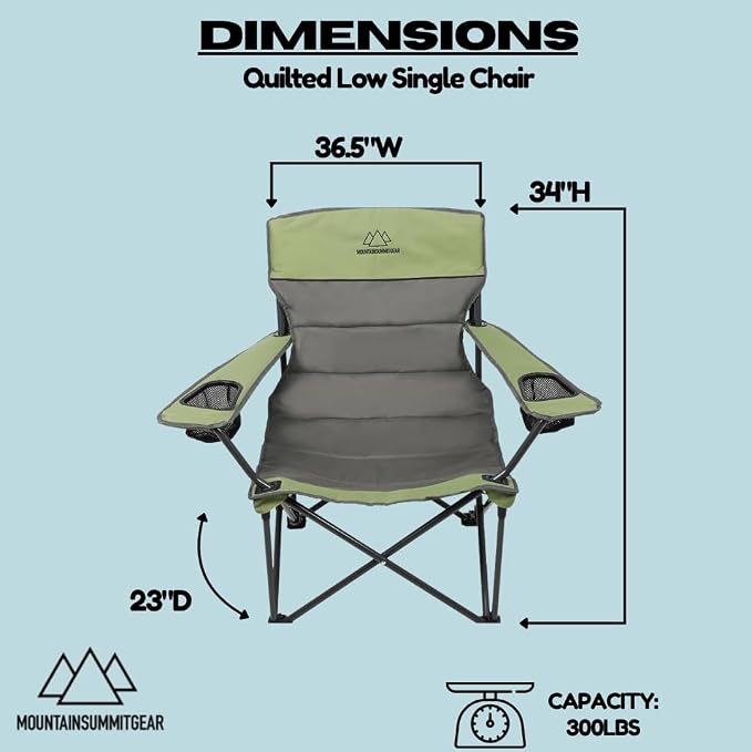 Low Chair (Gray/Asparagus)