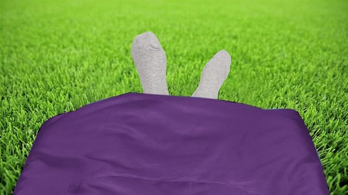 Purple / Fuchsia
