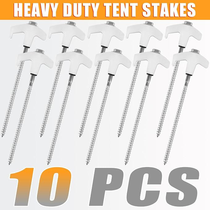 10pcs
