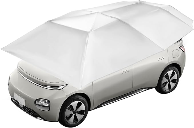 Silver Gray