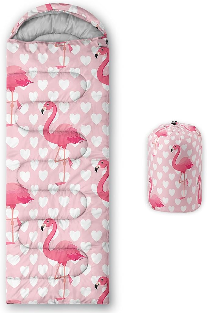F-Flamingo1