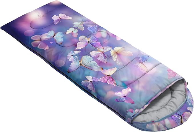 Color Butterfly 27
