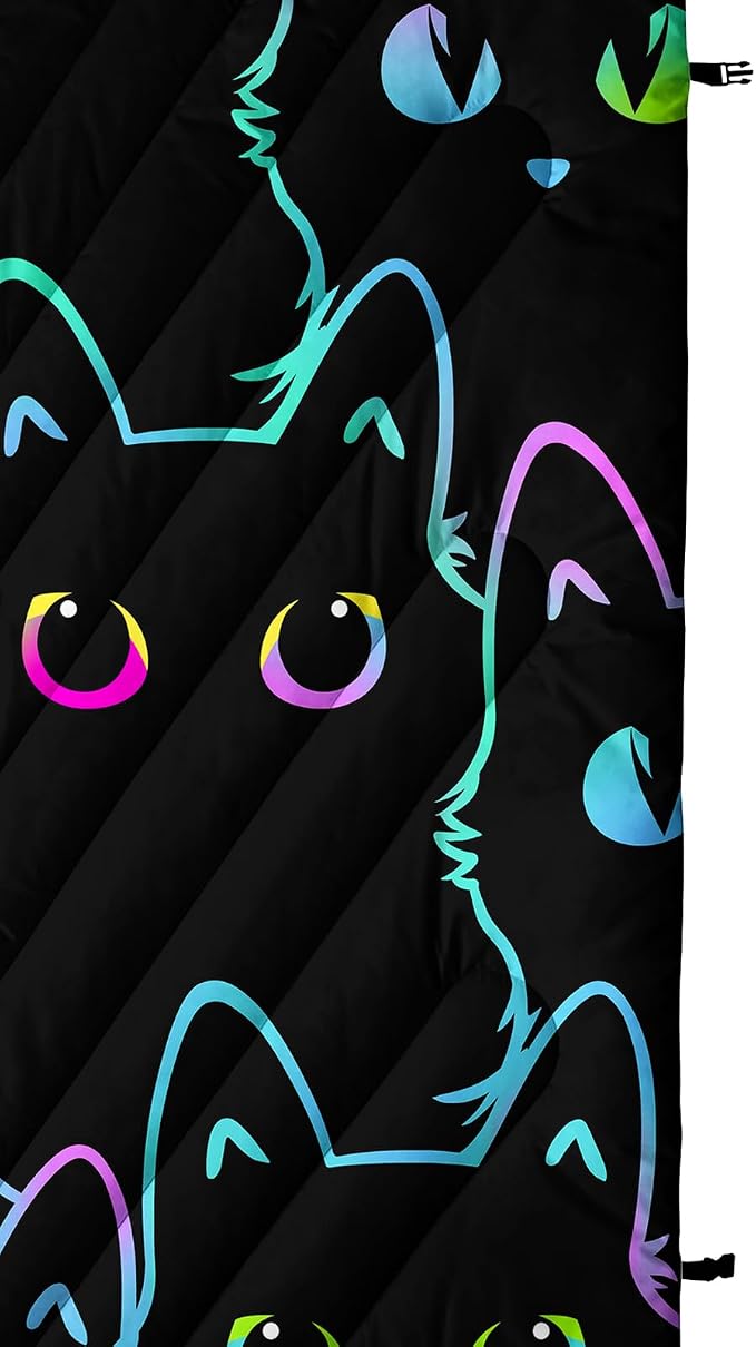 Cat02