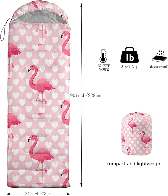 F-Flamingo1