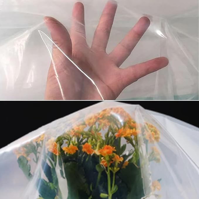 Clear