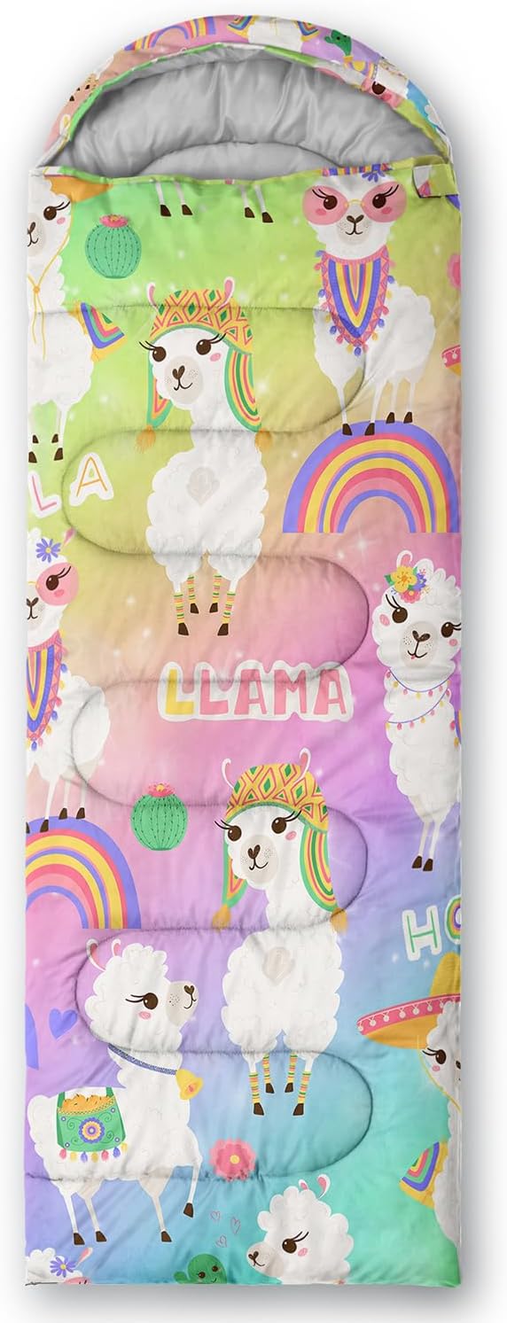 Cartoon Rainbow Alpaca