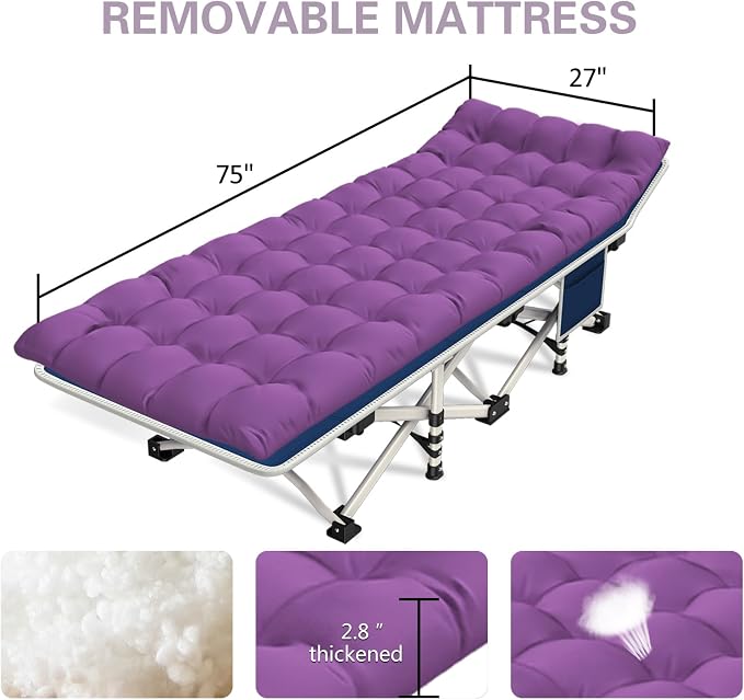 2 Pack Purple
