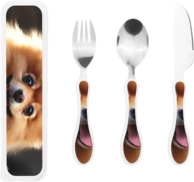 Pomeranian Dog