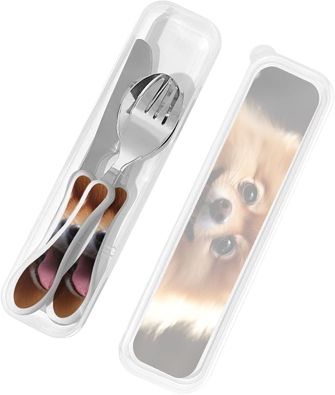 Pomeranian Dog