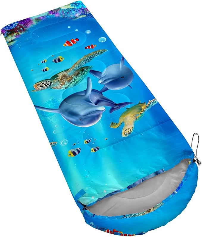 Kawaii Cartoon Whale Dolphin