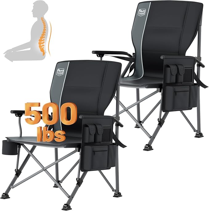 Aluminum Lumbar Support Black-2 Set
