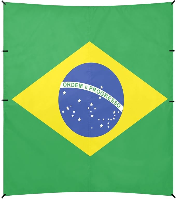 National Flag of Brazil