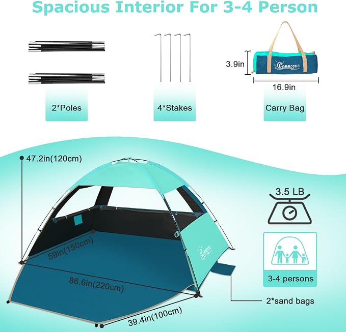 Turquoise with Dark Shelter