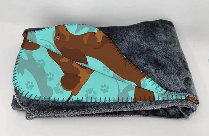 Dachshund - Chocolate and Tan