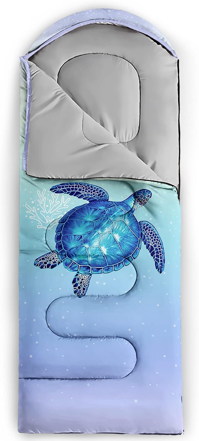 Turtle 9