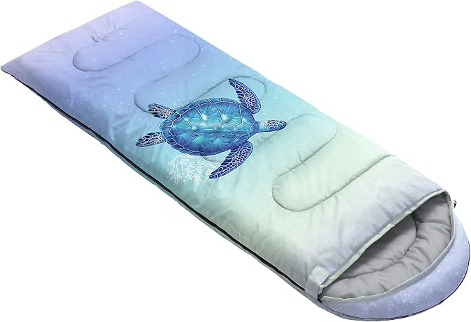 Turtle 9