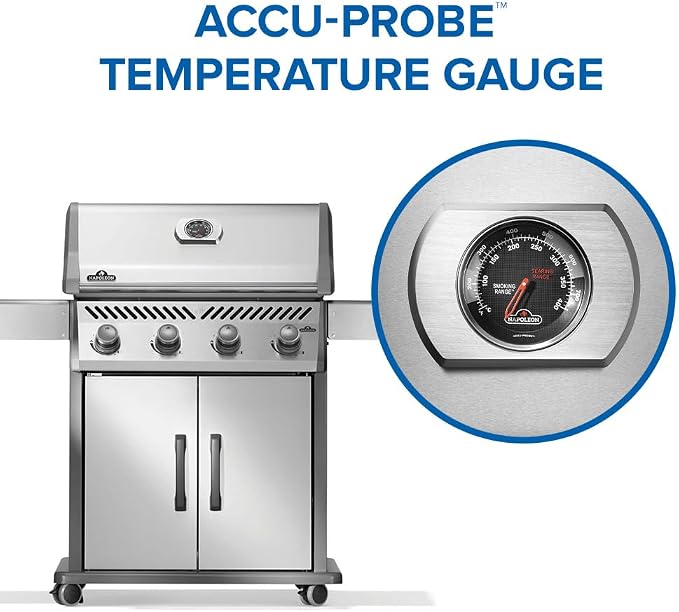 Rogue 525 Natural Gas Stainless Steel
