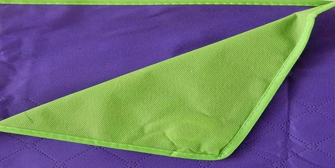Purple/Lime