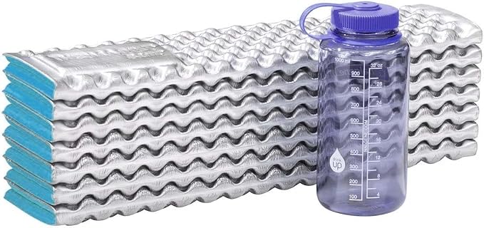 Blue/Silver