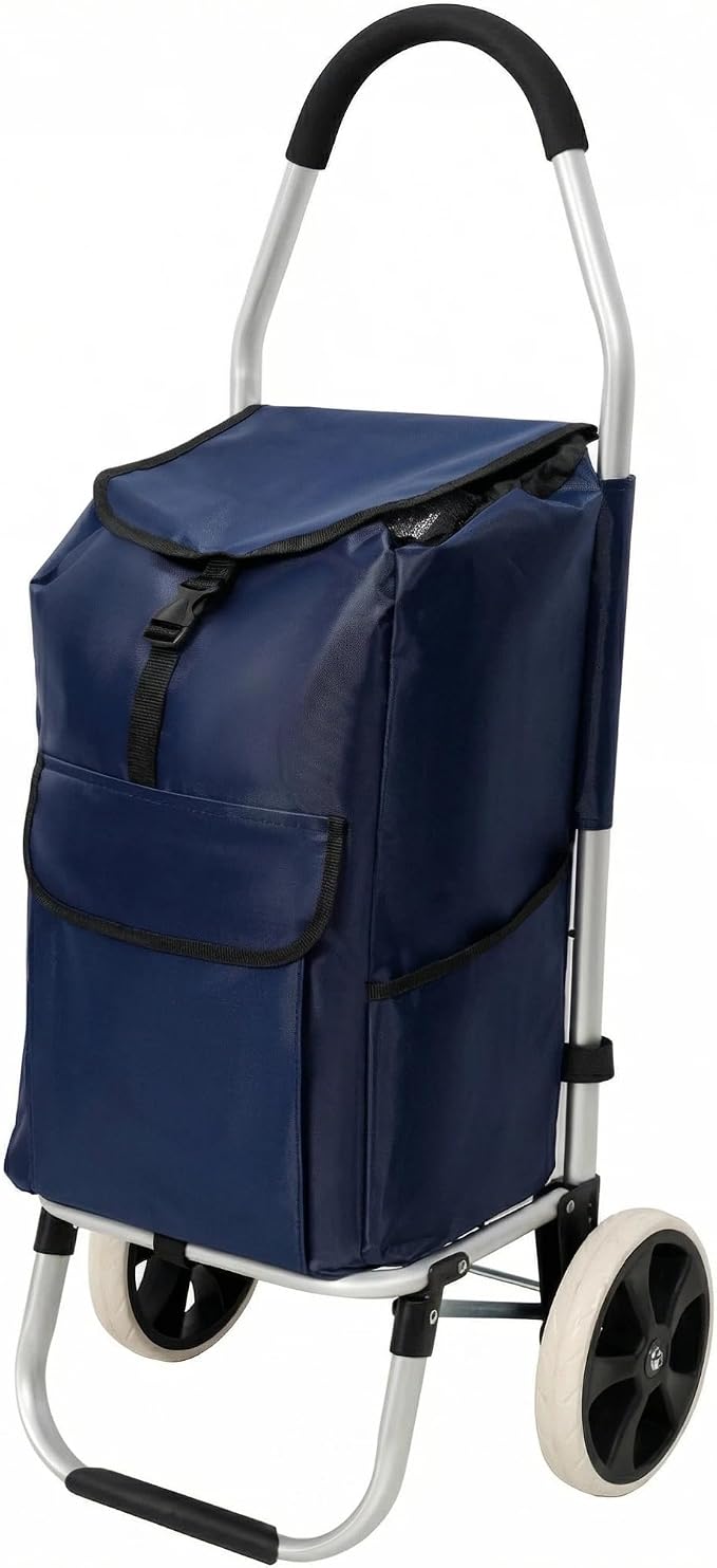 Blue 2 Wheel
