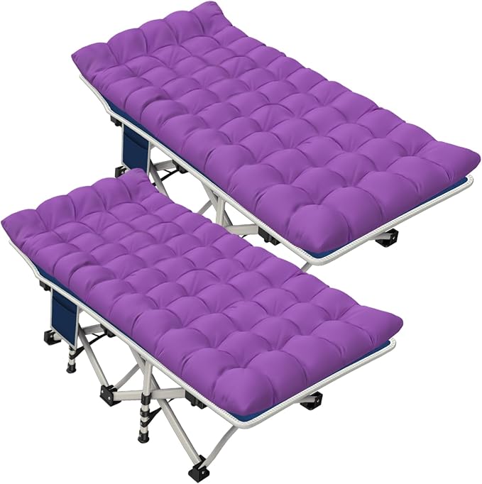 Standard 2 Pack Purple