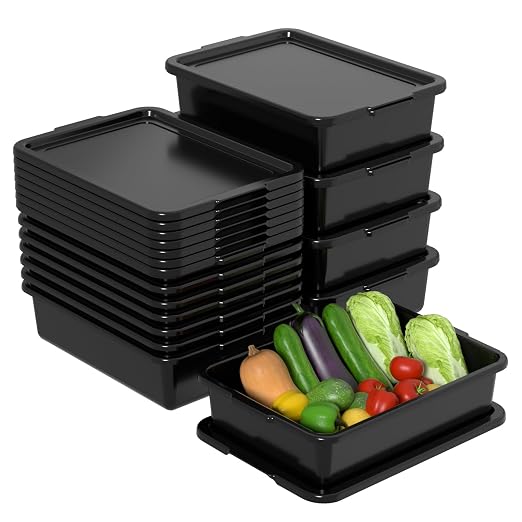 Black with lid