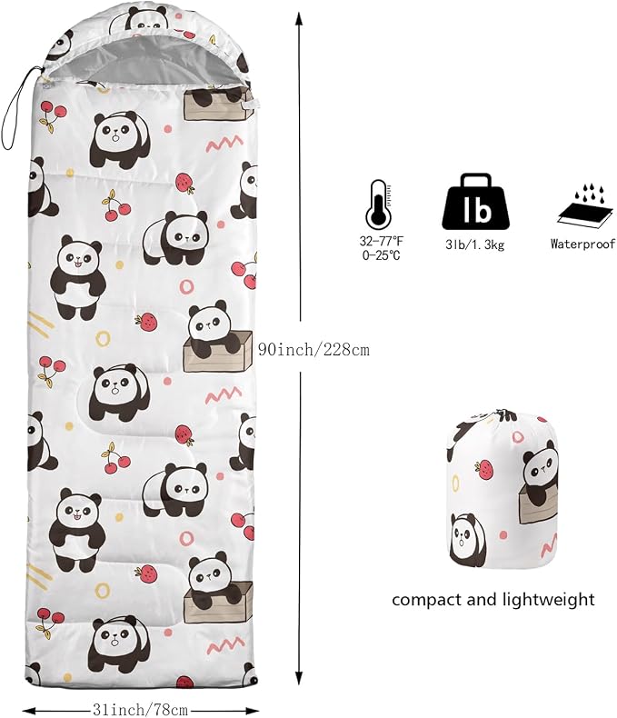 H-Panda2
