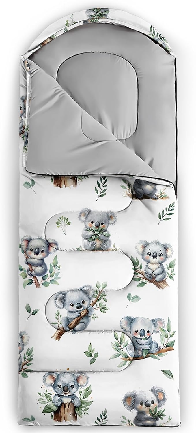 Koala4