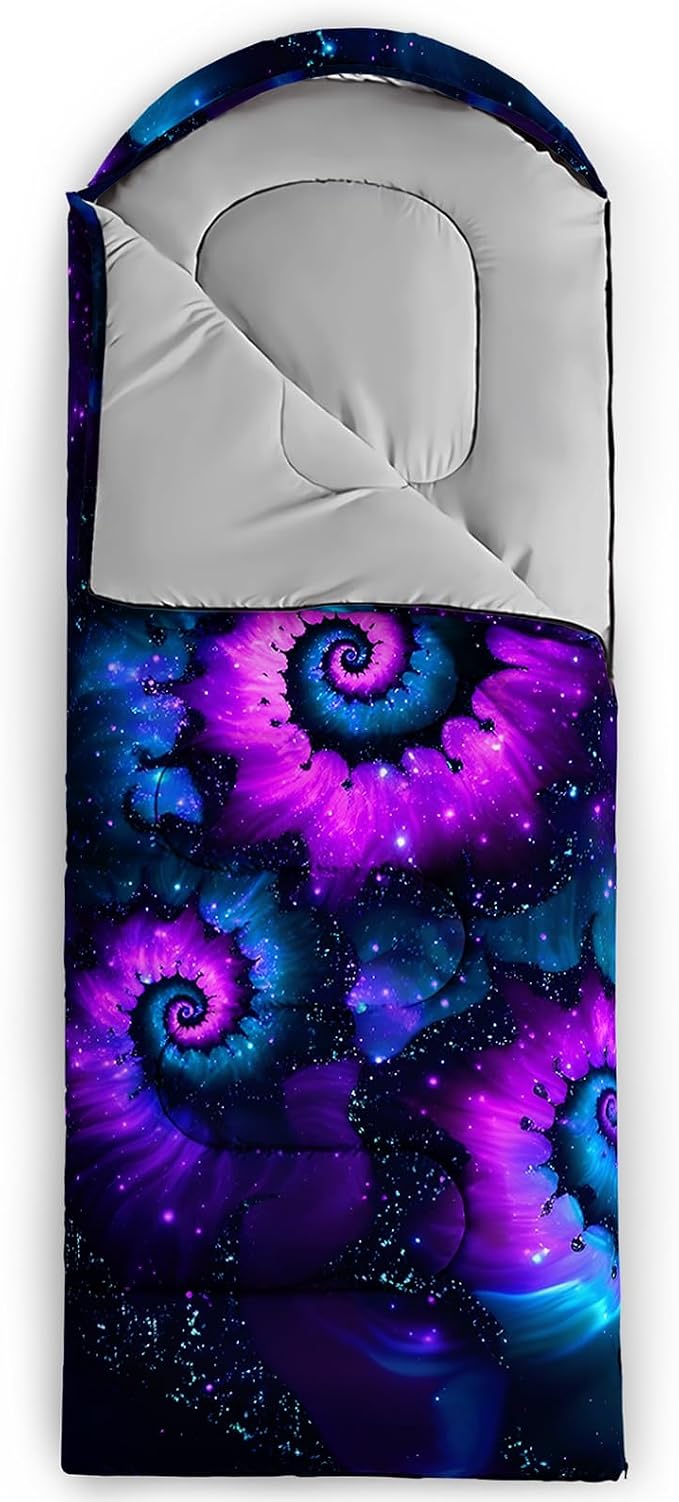 Galaxy 17