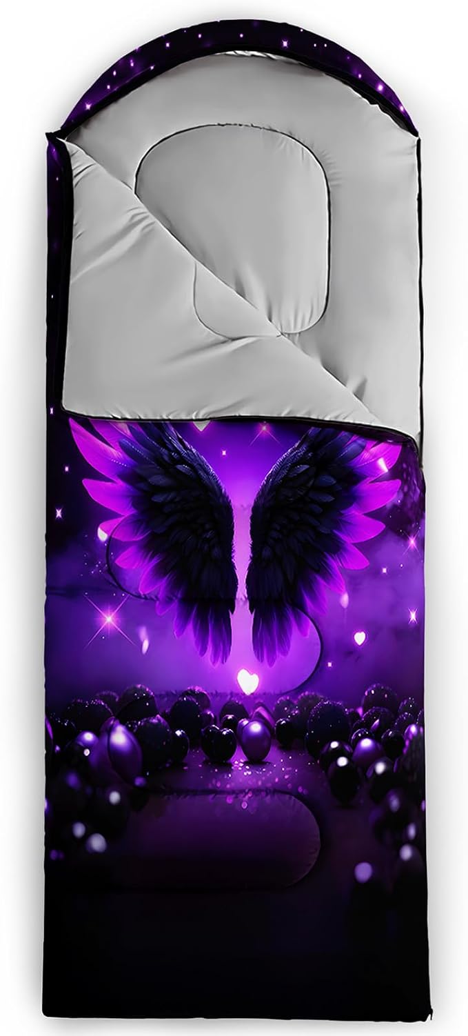 Cartoon Winged Crown 7