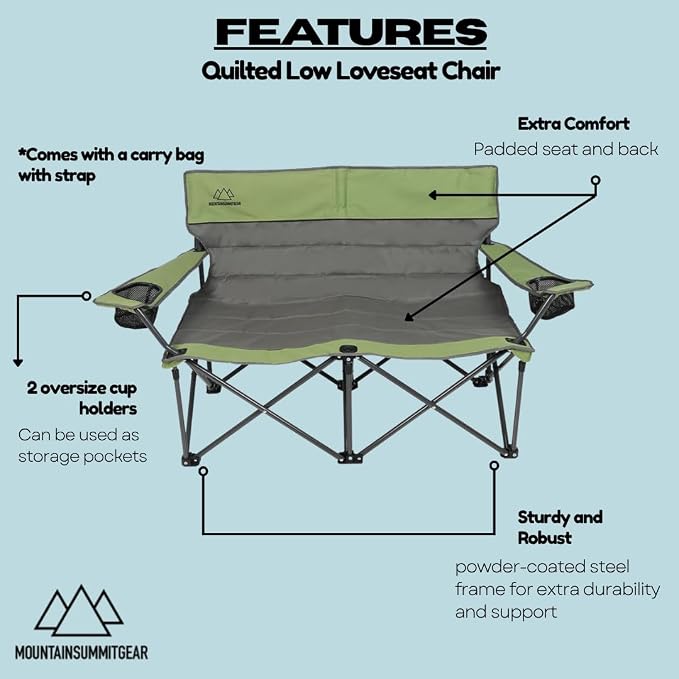 Low Loveseat (Gray/Asaparagus)