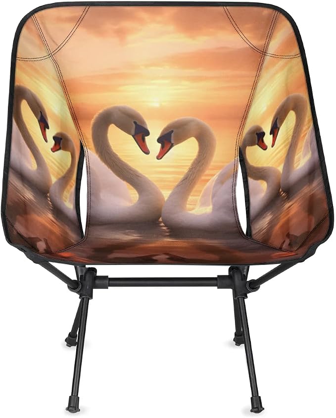 Sunset Swan