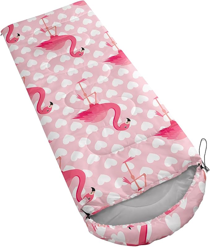 F-Flamingo1