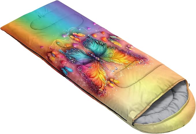 rainbow butterfly