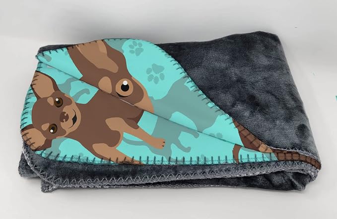 Chihuahua - Chocolate