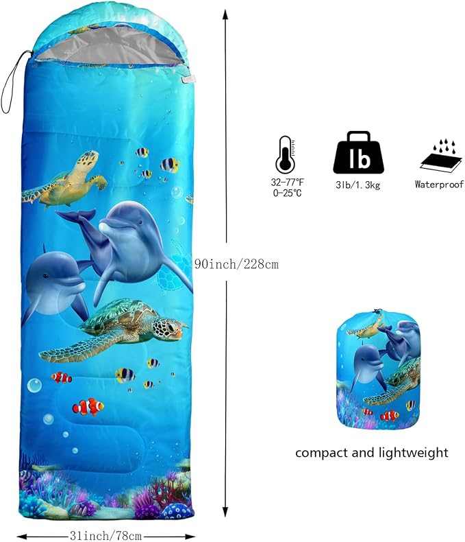 Kawaii Cartoon Whale Dolphin