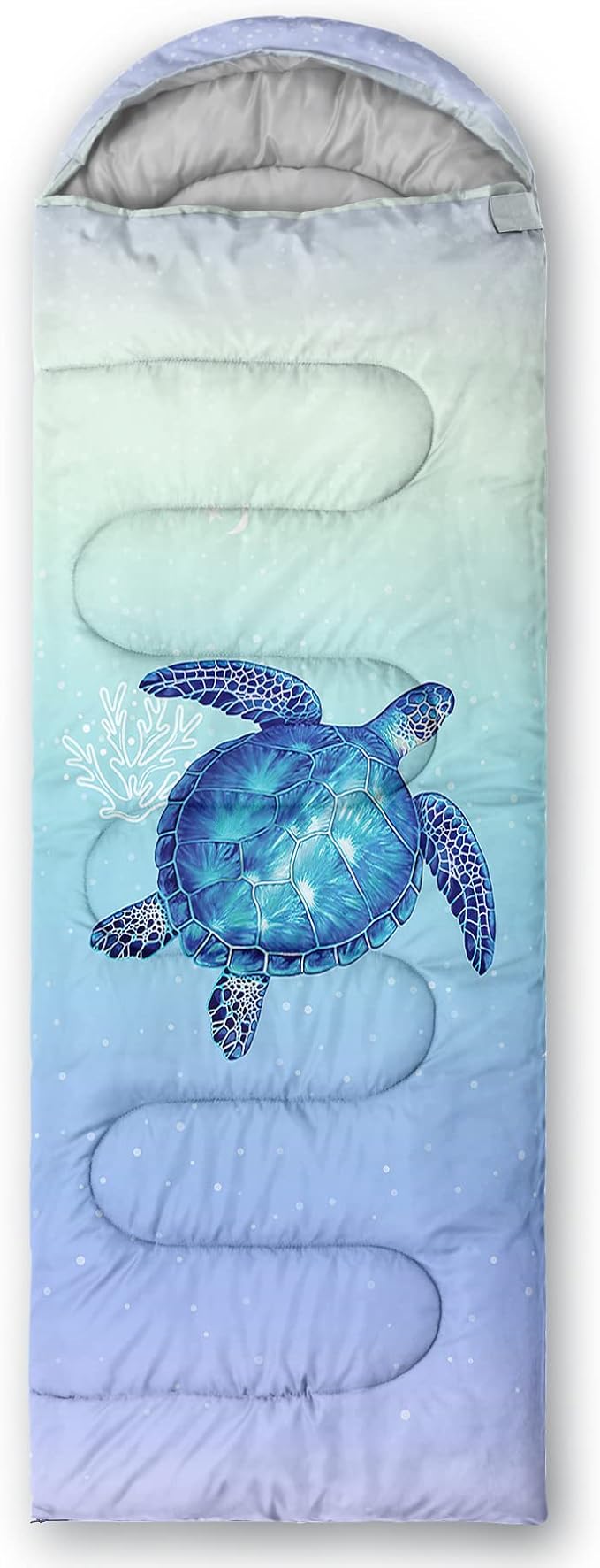 Turtle 9