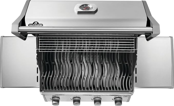Rogue 525 Natural Gas Stainless Steel
